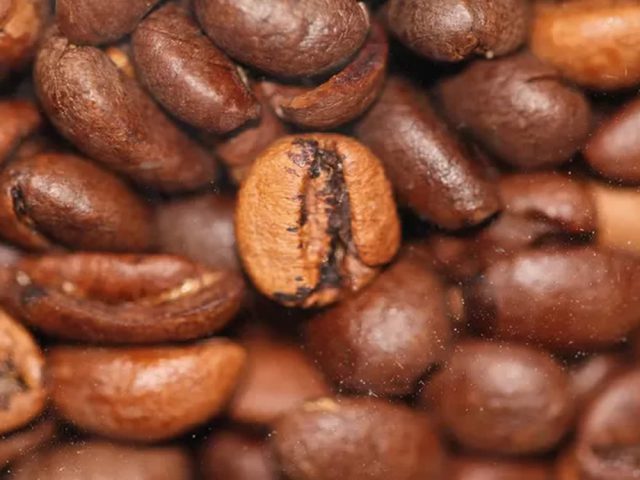 OIC registrou em janeiro menor preço médio do café em dois anos