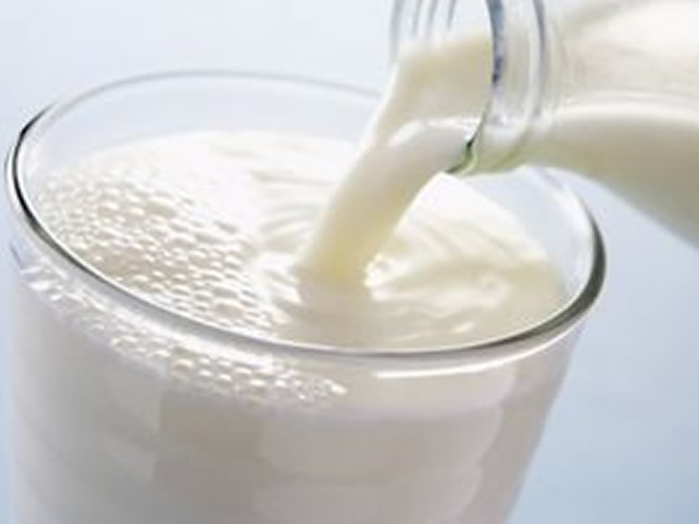 Mercado do leite firme e preços em alta para o produtor