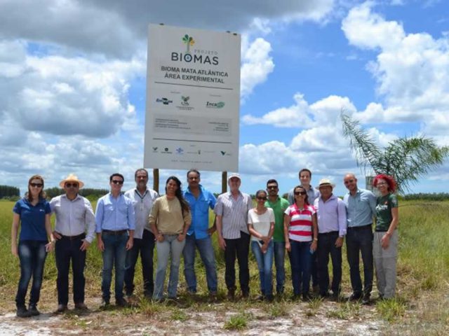Projeto Biomas na Mata Atlântica é exemplo para ações de reflorestamento