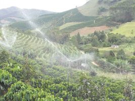 Declaração de uso de água para irrigação agora é automática