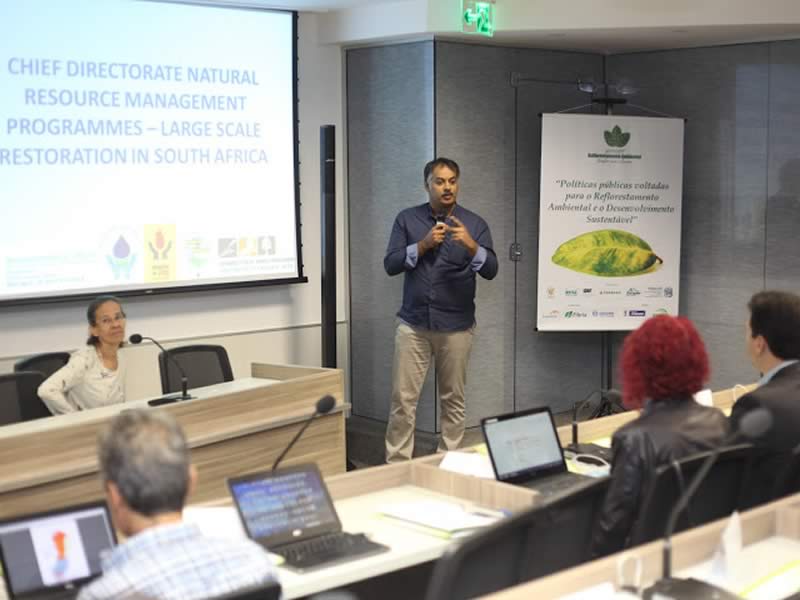 Seag promove Workshop sobre Reflorestamento Ambiental