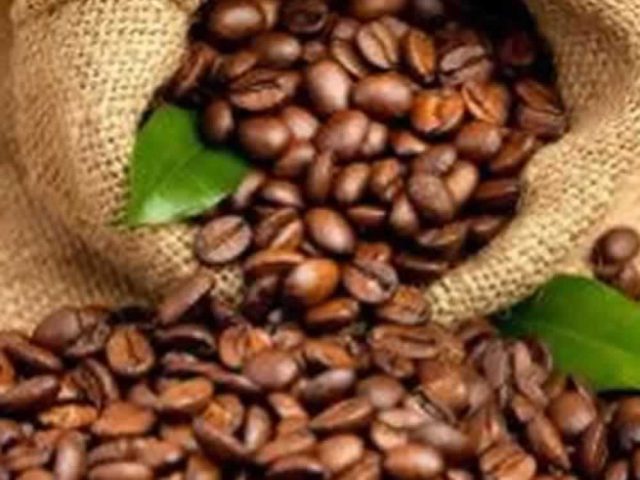 Consumo de cafés especiais cresce 25% a cada ano no Espírito Santo
