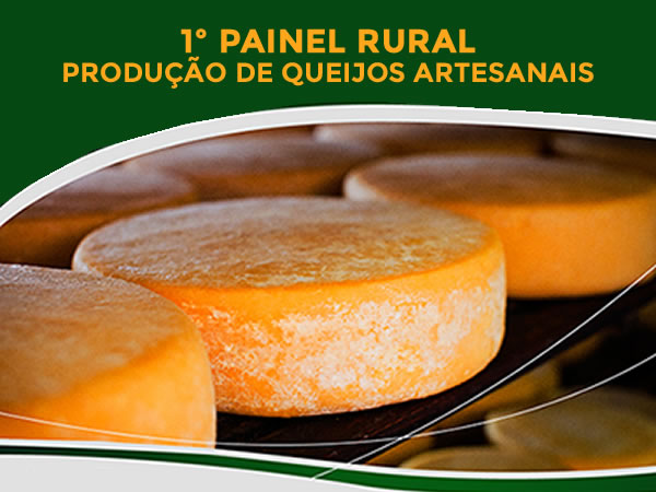 Produtores aprendem com o sucesso do queijo da Serra da Canastra