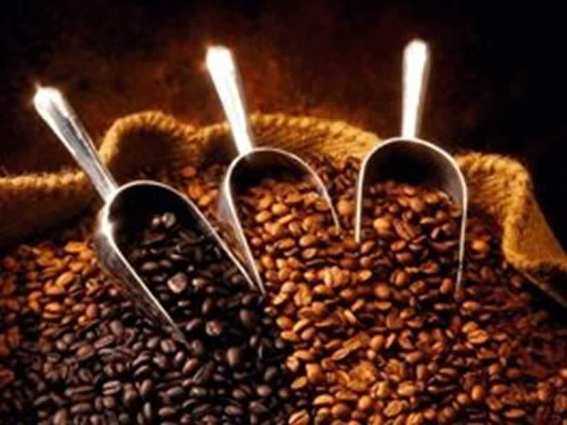 Safra de café arábica do Brasil está maior e melhor após seca