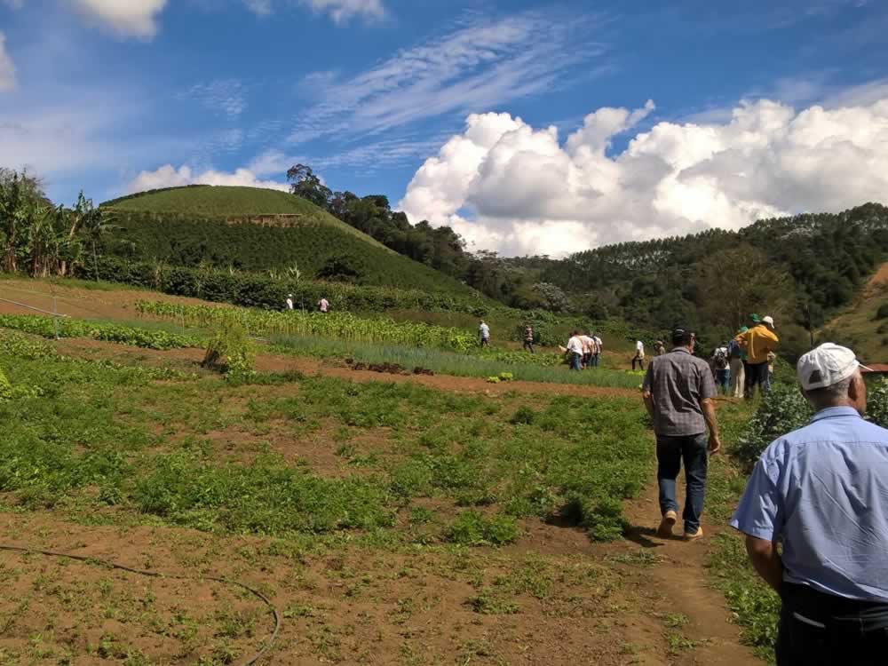 Agricultura orgânica é tema de excursão em Santa Maria de Jetibá