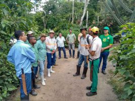 Agricultores familiares do Espírito Santo aprenderão novas práticas agroflorestais com apoio da Fibria