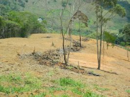 Painel da FAO aponta diretrizes para o manejo sustentável dos solos