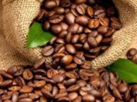 Exportação brasileira de café alcança 2,997 mi de sacas em março