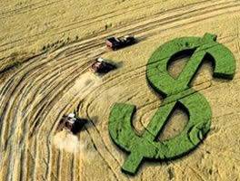 Valor da produção agropecuária para 2016 é estimado em R$ 512.9 bilhões