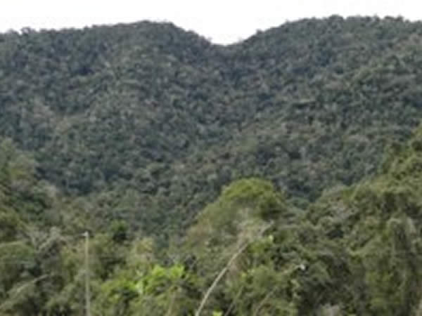 Brasil ganha mais 2 reservas particulares do patrimônio natural