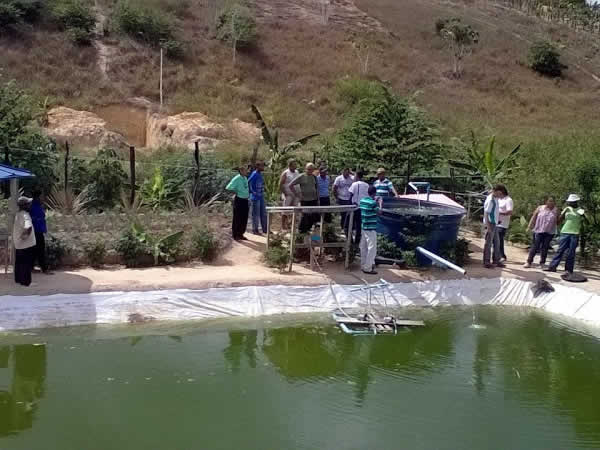 Pescadores de Regência visitam projeto de aquicultura em São Mateus