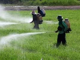 Projeto regulamenta uso de defensivos agrícolas e substitui atual Lei de Agrotóxicos