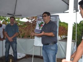 Dia de Campo apresenta tecnologias para qualidade do conilon no Noroeste do ES