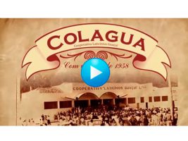 Colagua lança vídeo institucional e conta um pouco da história da cooperativa!