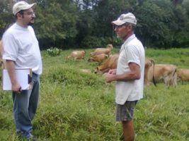 De olho na produção sustentável, homeopatia agropecuária ganha espaço