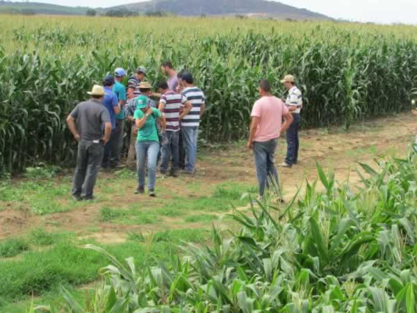 Estudantes de Agronomia da Bahia visitam propriedades em Mucurici e Montanha