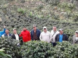Delegação da Costa Rica visita a cafeicultura capixaba