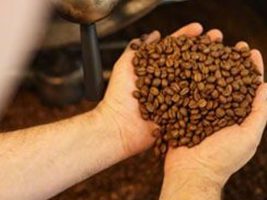 Exportações de café do Vietnã caem para 162 mil t em maio