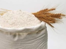 Inflação do feijão pode favorecer trigo