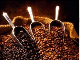 Chuvas alteram qualidade da safra do café em Minas Gerais