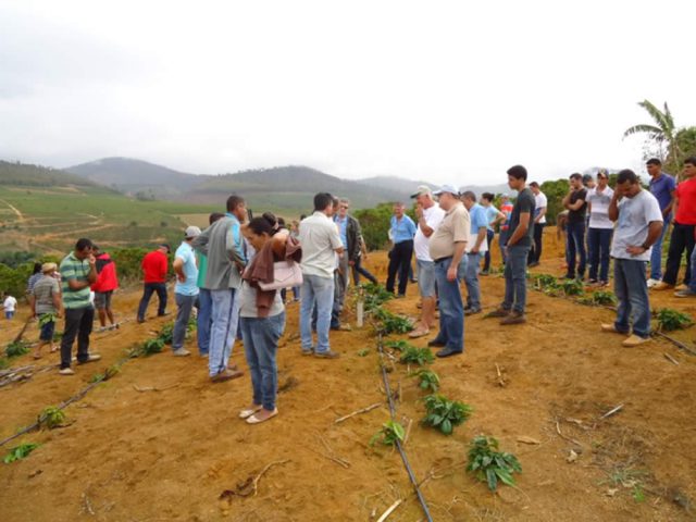 Visita à Fazenda Experimental do Incaper traz debates sobre o Conilon